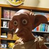flundii