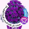 user90305344944580