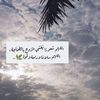 danyahayder372