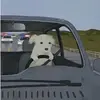 randomstuff_1978