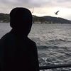 revan36__