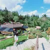 nanzkhie282301