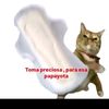 carlosenriquecast02