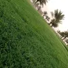 wfdidfrhhfvvjfg