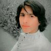 murshid80491hotmail.com7
