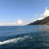 capazul10