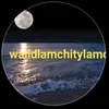 walidlamchitylamc