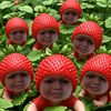 bunsomsomnek