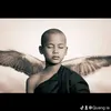 quanghada