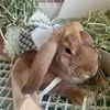 kyara_ropp