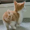 amyyy701