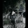 riyanganteng067