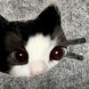 user00426665