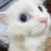 bapkhahnjh.w