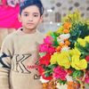 786786khawar4