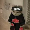 ronnapeeleekancha