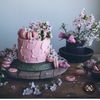 _nan115