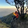 hindrawan22