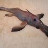 dead_ass_just_a_fish