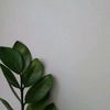 Dailywithwi