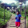 momon.sps