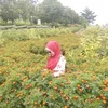 luluxjems