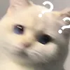 viiinek3