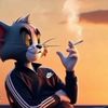 dima_9525