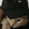 wak_bran2