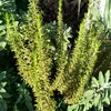 salma79874