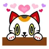 aki_seed