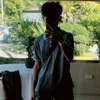 dolpinnno_