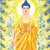 huyanh181991