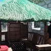 dannysuya