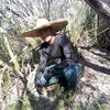 elsicariord30
