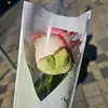 babebus160989