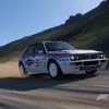 wolve80