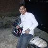 ztbdallt95