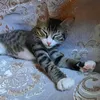 aliki77z