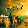 amer.sa2