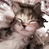 Vaiva <3