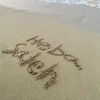 hebasaleh_2001