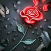 user102987568