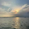 zj_yoshi1
