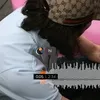 lanichenn