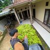 a_angalexandria