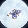 tanukiahs