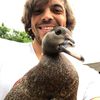 urbanchickenfarmer