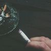 anton_7897