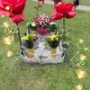 lisawiltshirerile33